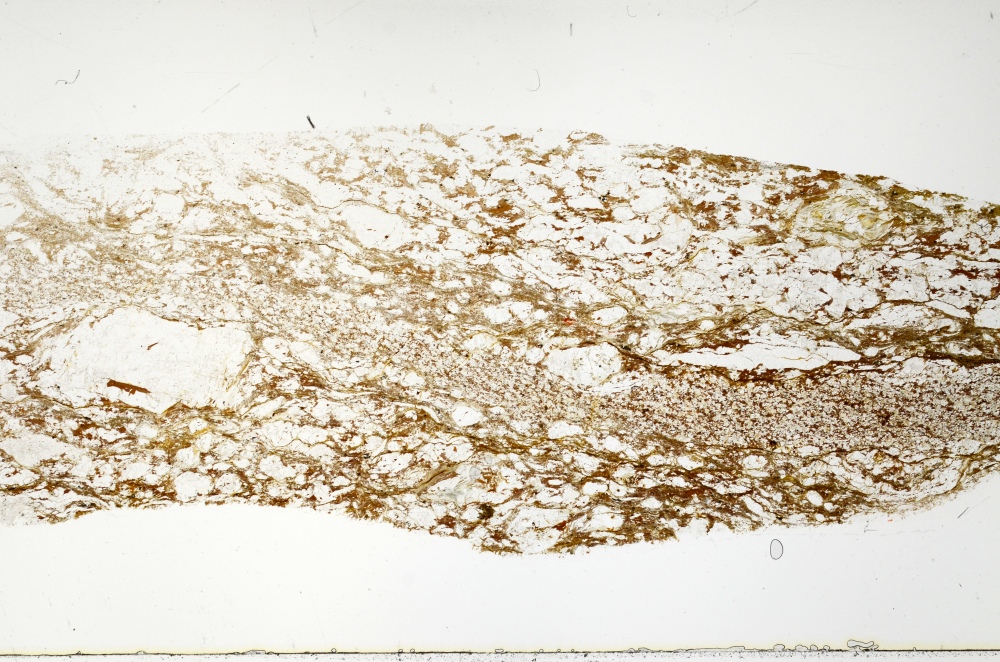 Plane Polarized, S72558