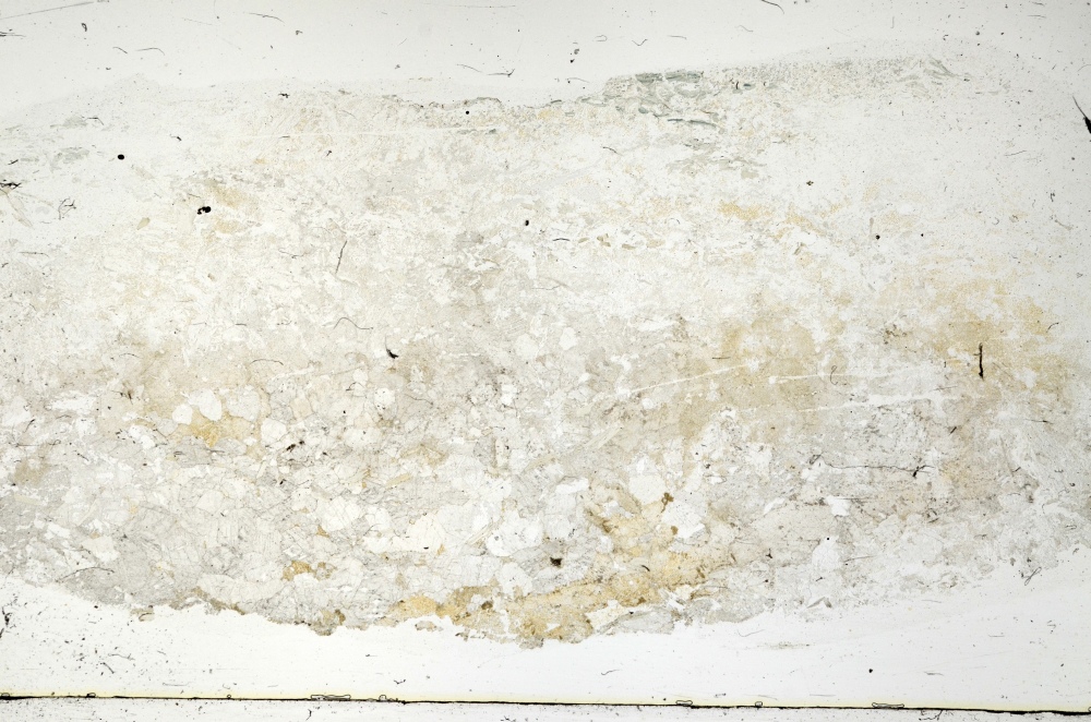 Plane Polarized, S72586