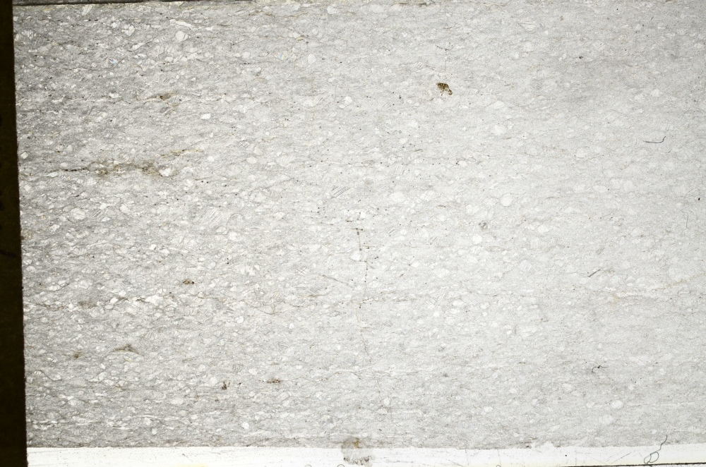 Plane Polarized, S72601