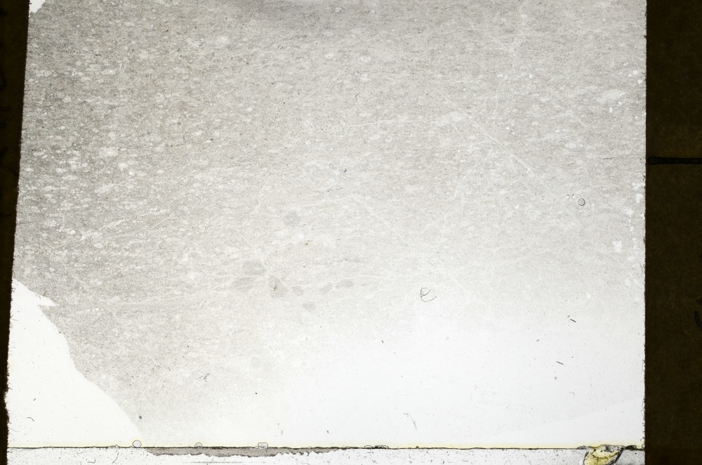 Plane Polarized, S72602