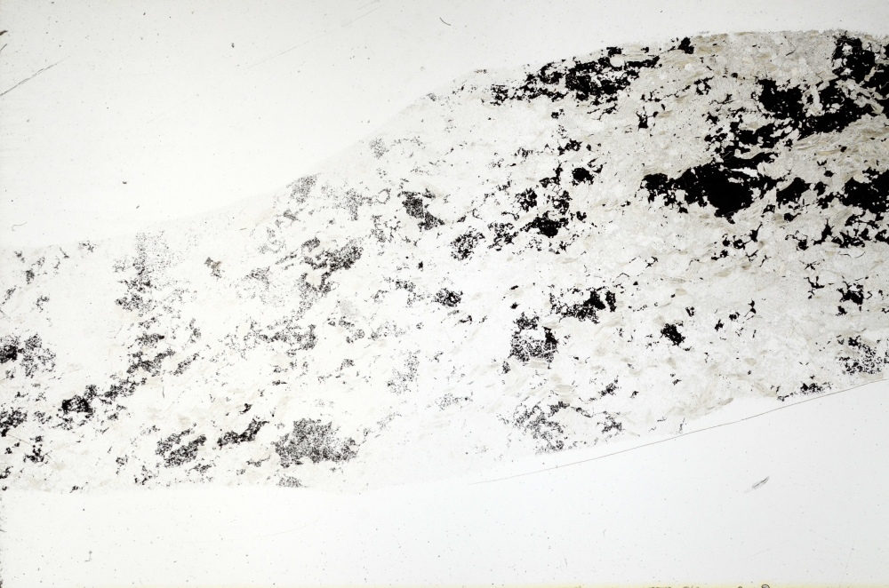 Plane Polarized, S72610