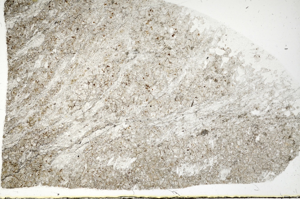 Plane Polarized, S72620