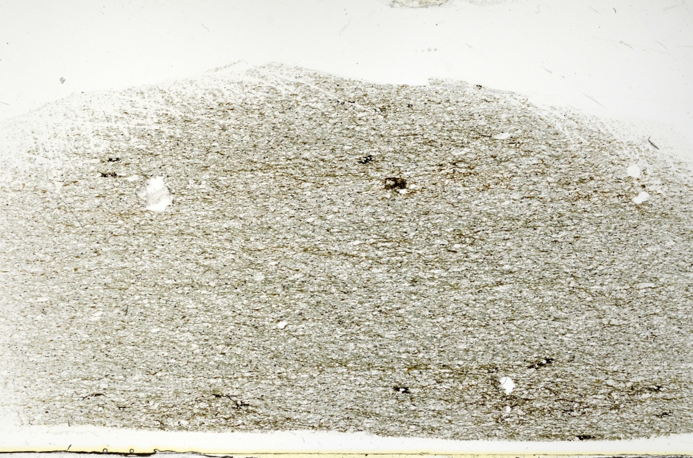 Plane Polarized, S72636
