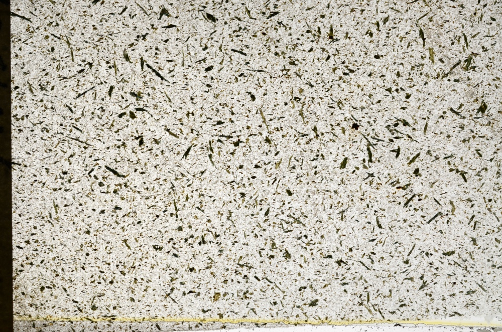 Plane Polarized, S72724