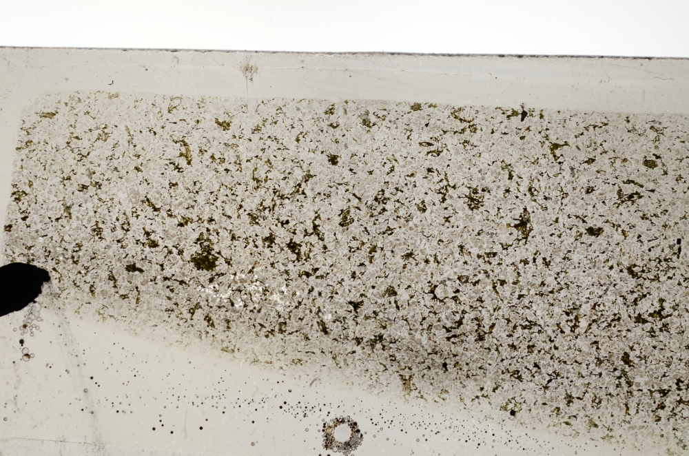 Plane Polarized, S72739