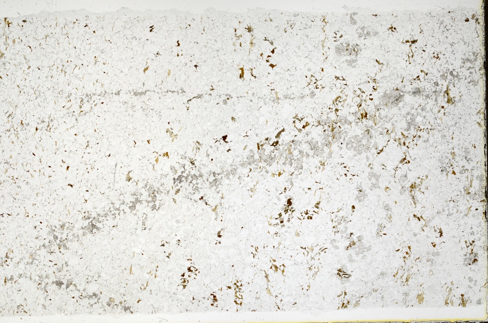 Plane Polarized, S72765