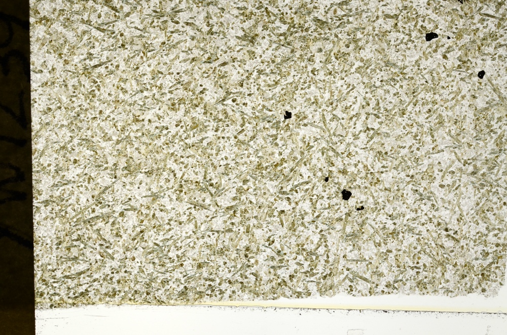 Plane Polarized, S72787