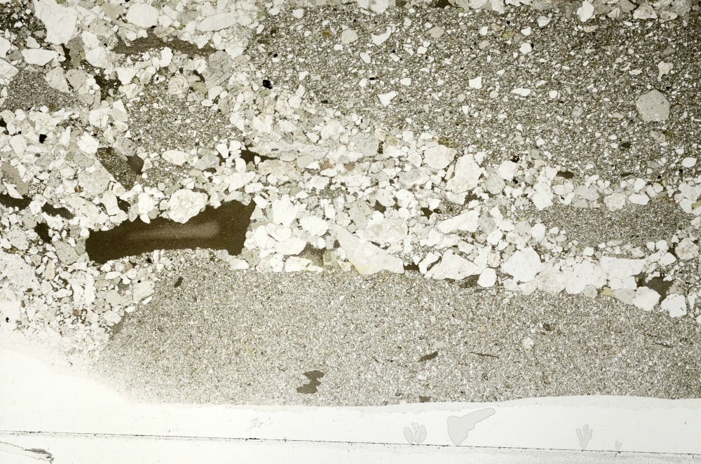 Plane Polarized, S72805