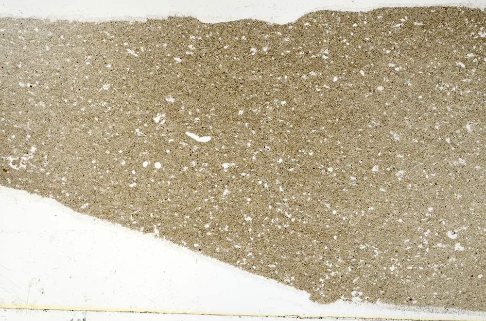 Plane Polarized, S72918