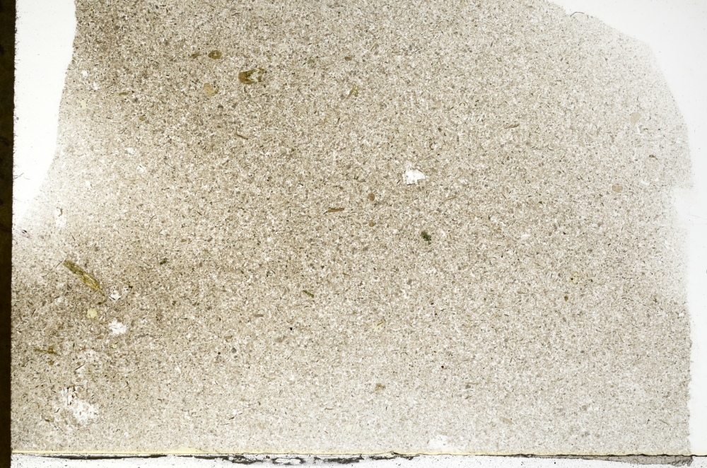 Plane Polarized, S73287
