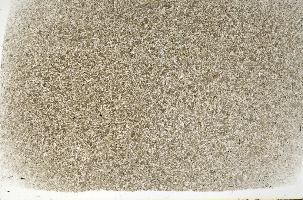 Plane Polarized, S73288