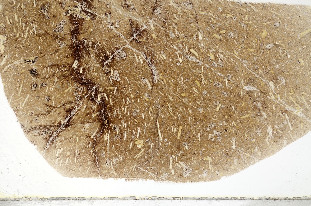 Plane Polarized, S73291