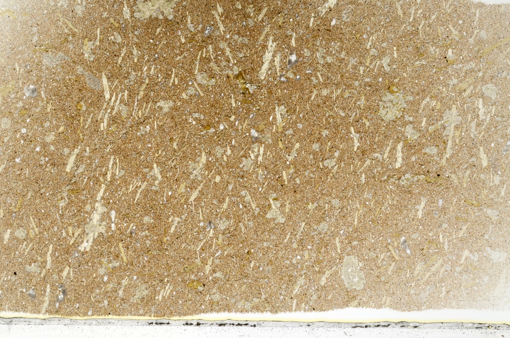 Plane Polarized, S73307