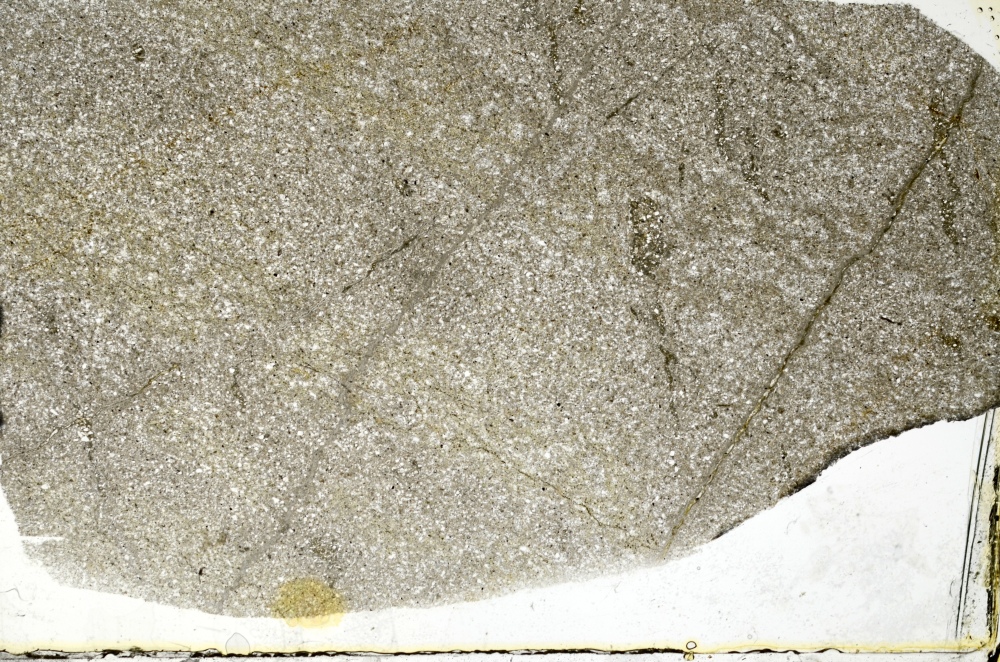 Plane Polarized, S73332
