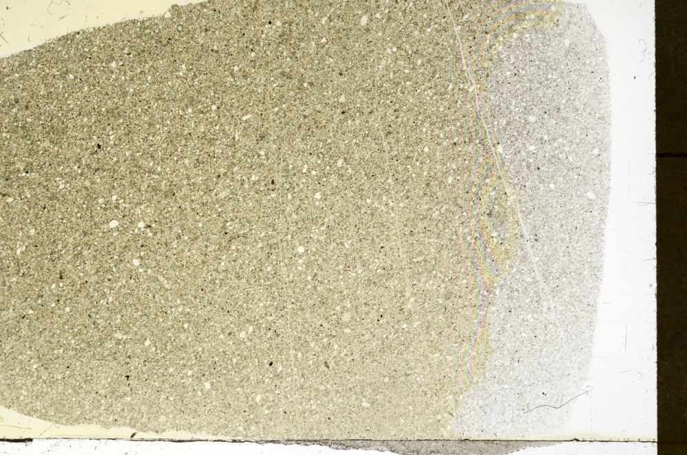 Plane Polarized, S73334/A