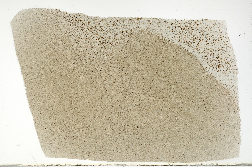 Plane Polarized, S73347