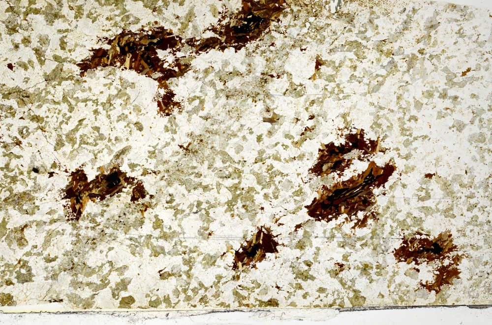 Plane Polarized, S73387