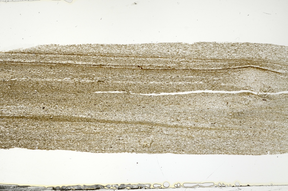 Plane Polarized, S73393