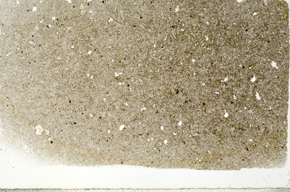 Plane Polarized, S73395