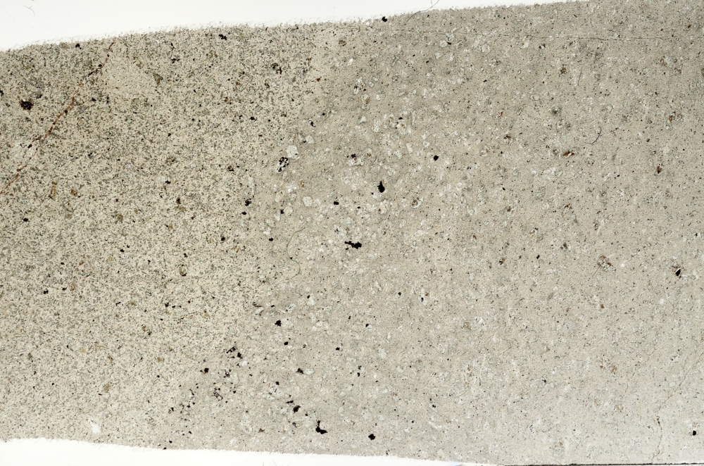 Plane Polarized, S73455