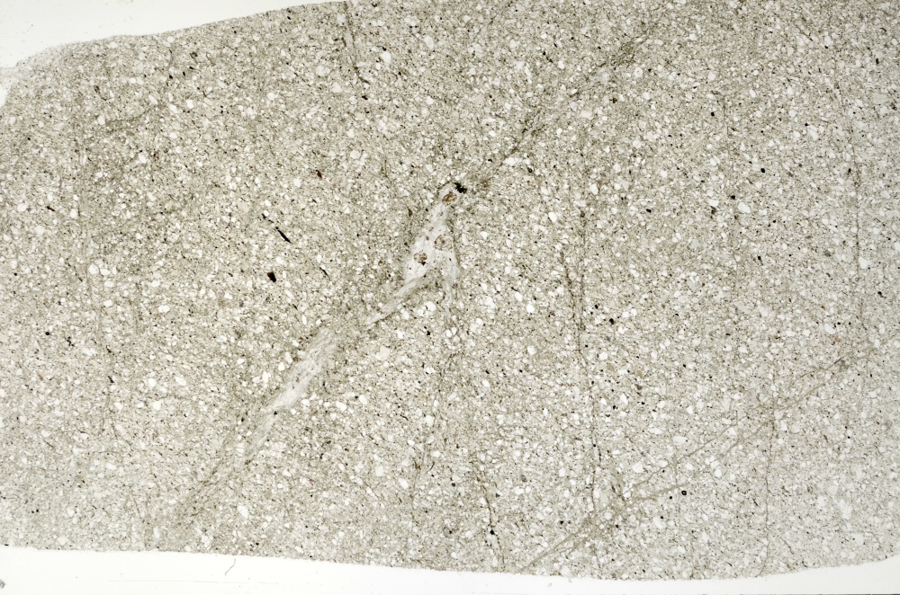 Plane Polarized, S73462