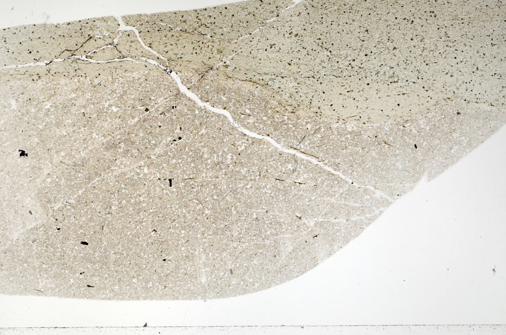 Plane Polarized, S73472