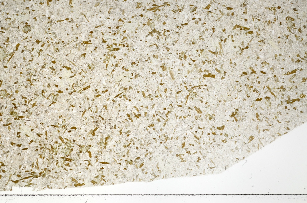 Plane Polarized, S73498