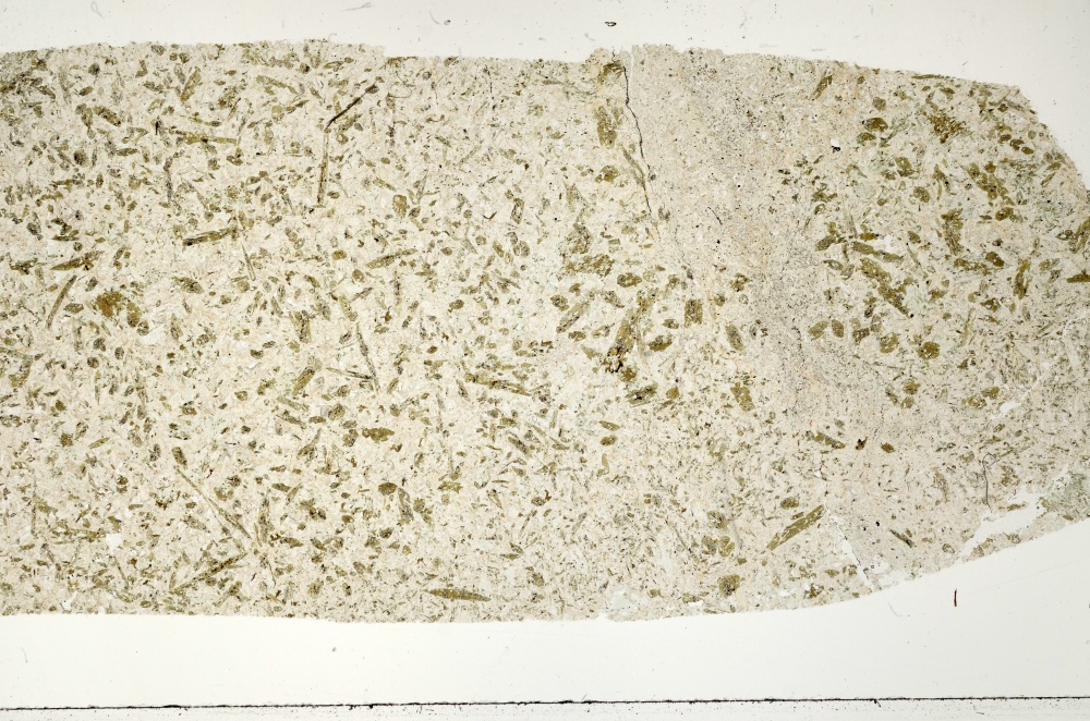 Plane Polarized, S73509