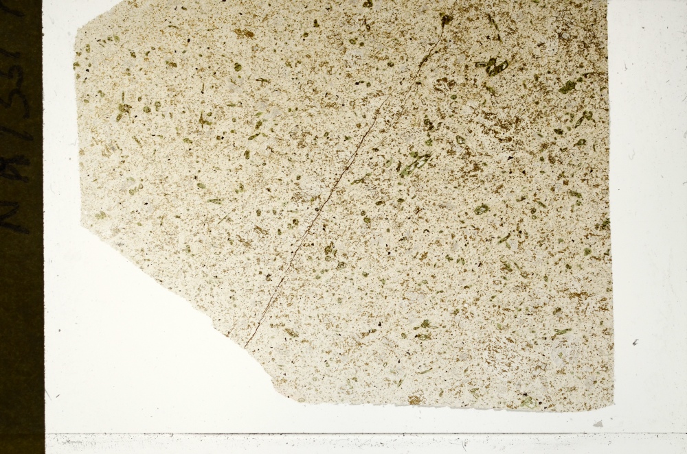 Plane Polarized, S73513