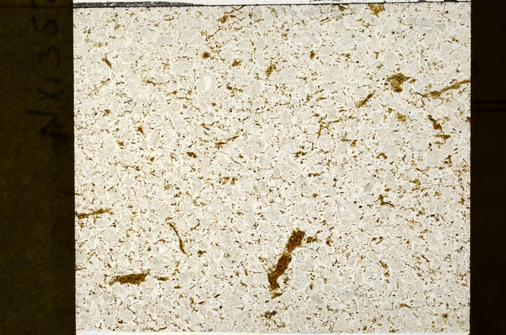 Plane Polarized, S73515