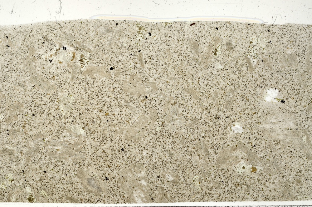 Plane Polarized, S73540