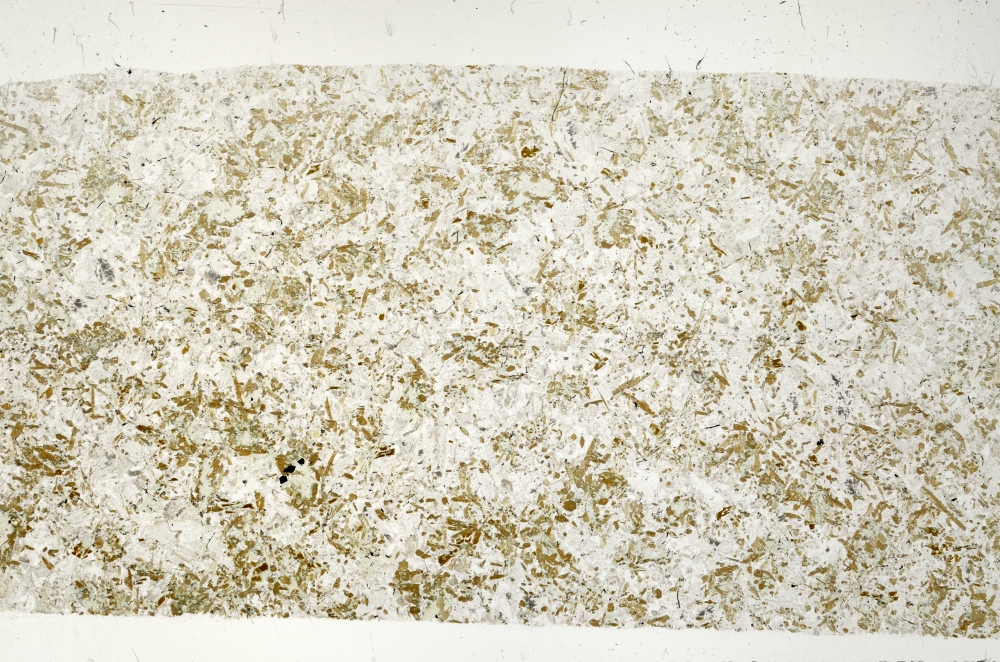 Plane Polarized, S73542