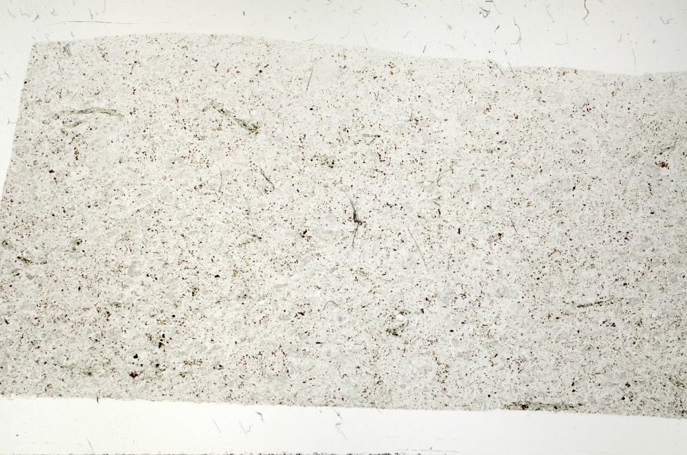 Plane Polarized, S73551