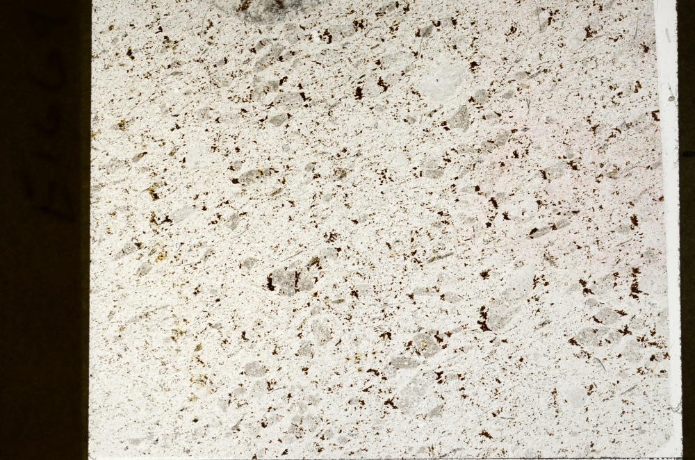 Plane Polarized, S73552