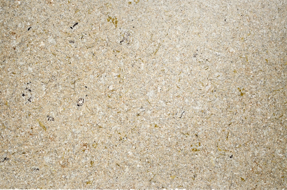 Plane Polarized, S73665