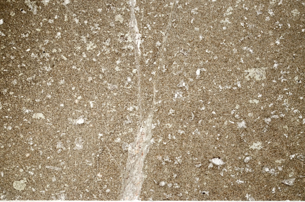 Plane Polarized, S73682