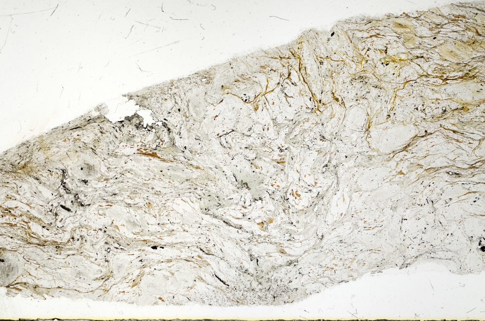 Plane Polarized, S73735