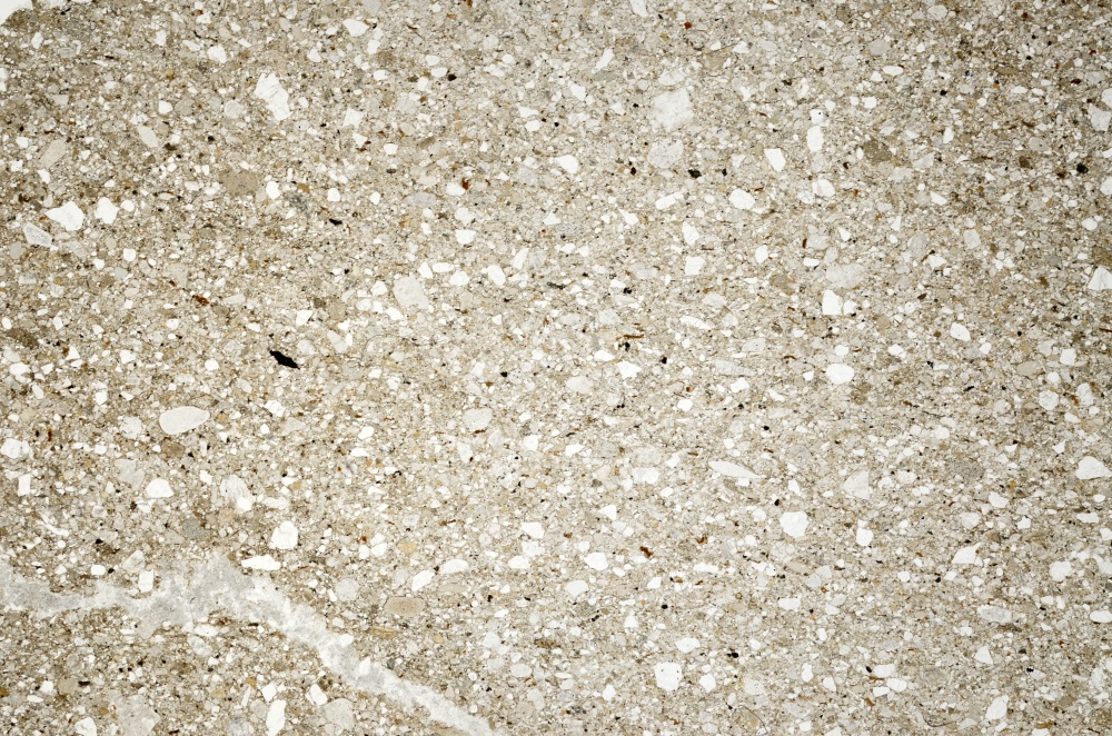 Plane Polarized, S73806