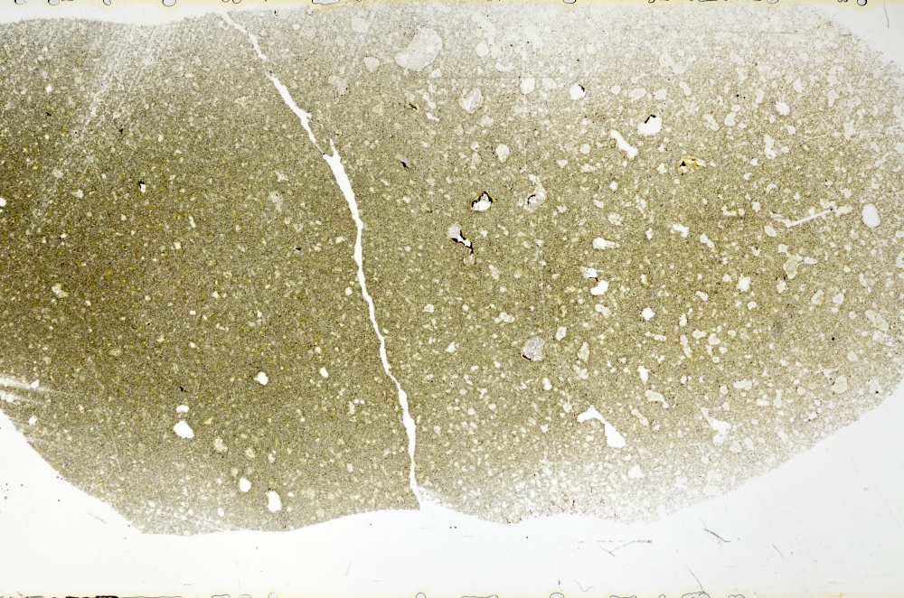 Plane Polarized, S73854