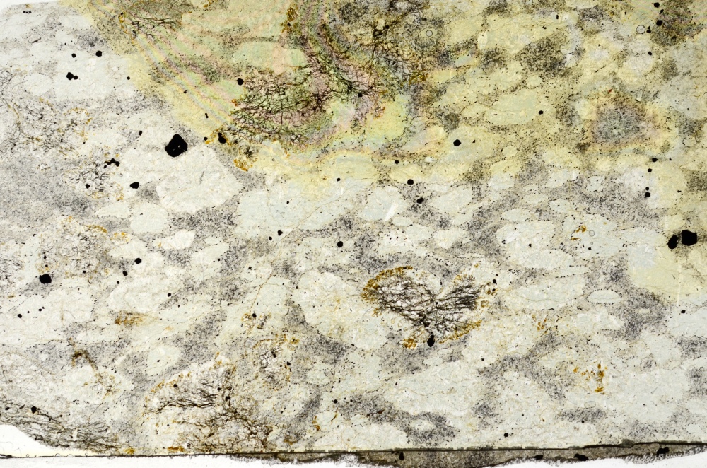 Plane Polarized, S73945
