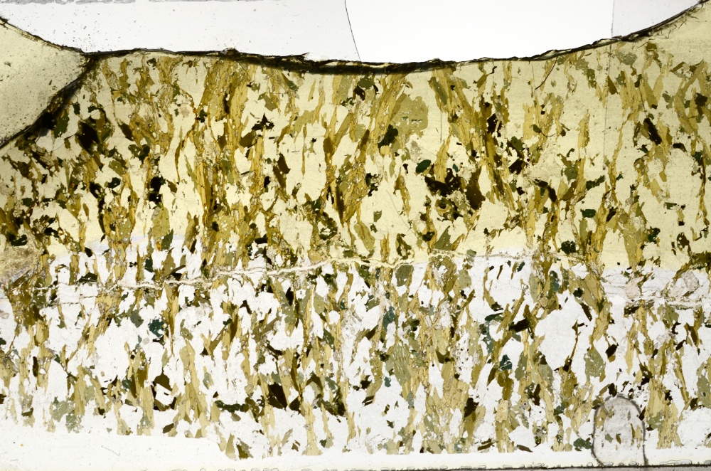 Plane Polarized, S73979