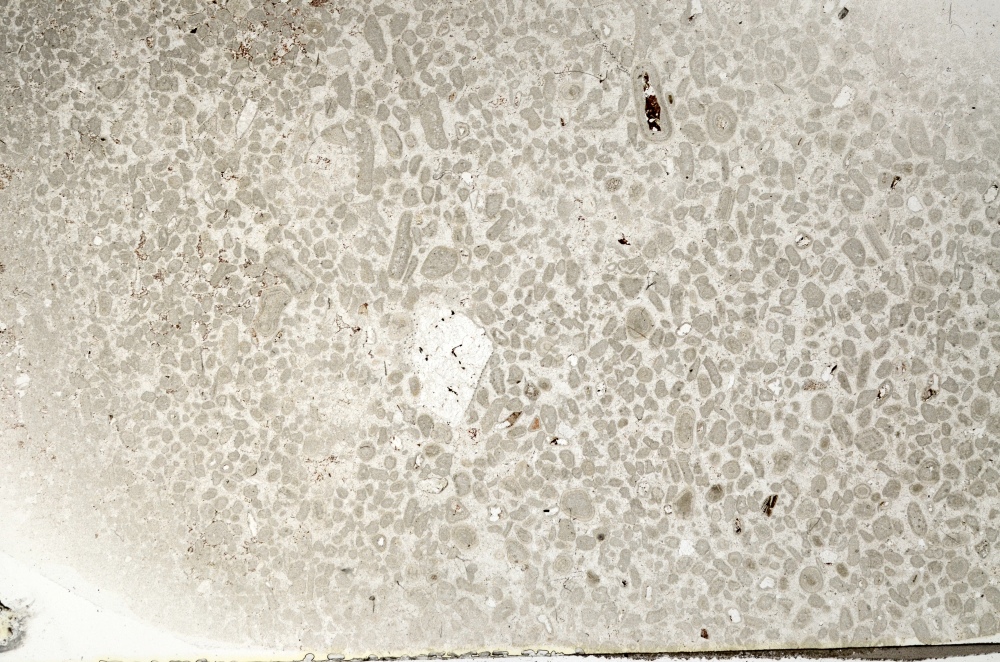 Plane Polarized, S74136