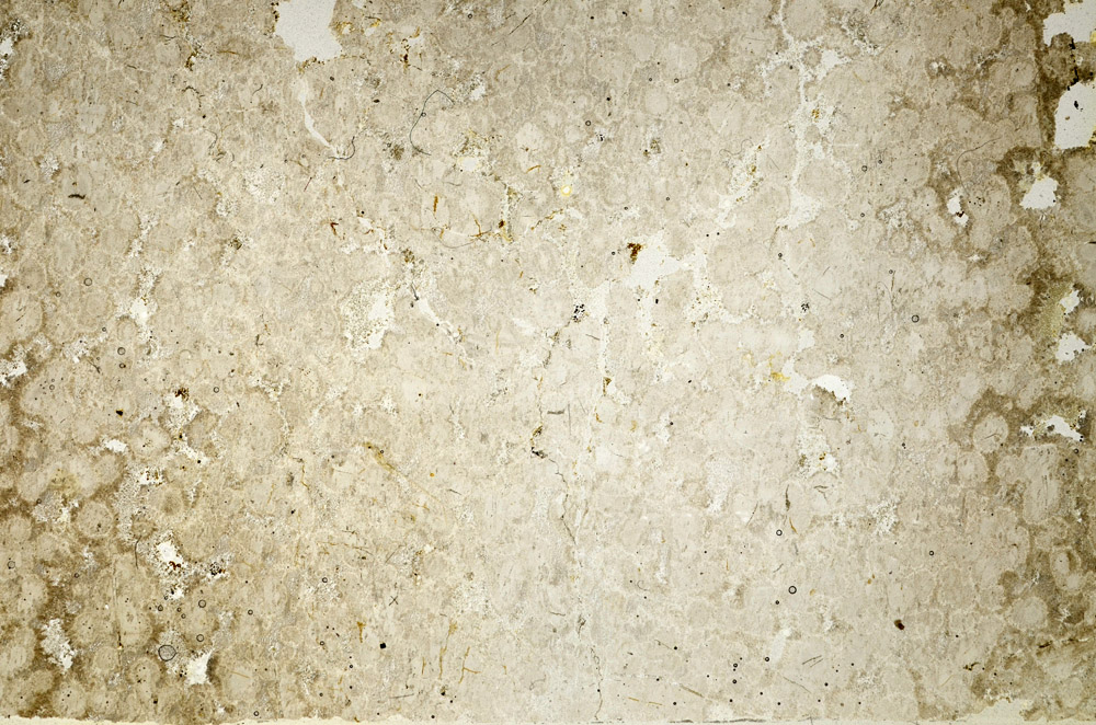 Plane Polarized, S74872