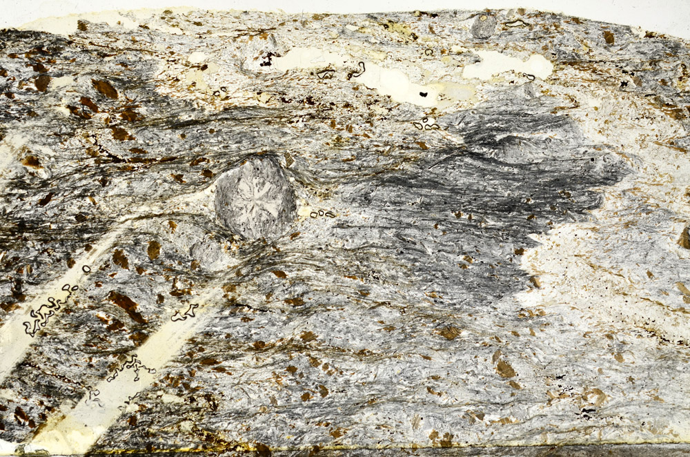 Plane Polarized, S74873