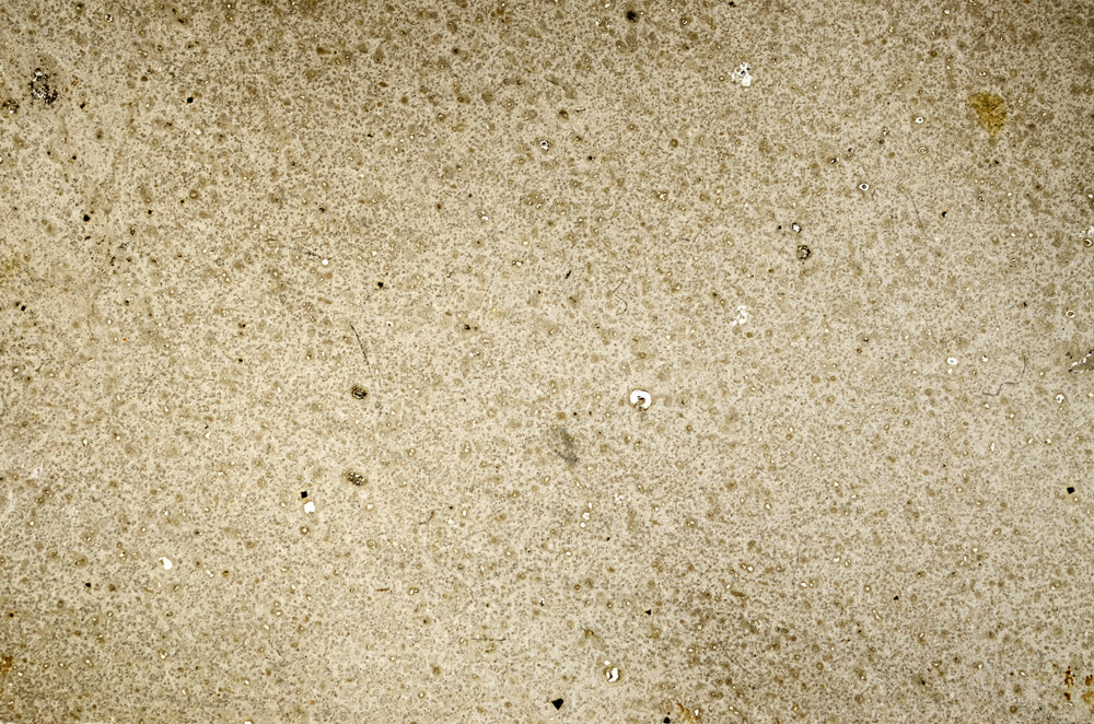 Plane Polarized, S74877