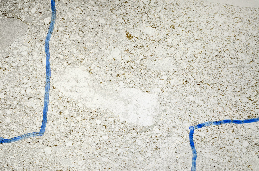 Plane Polarized, S74893