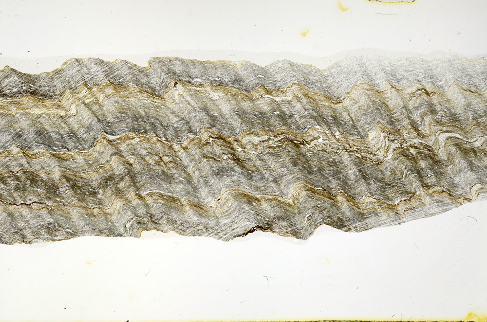 Plane Polarized, S74995