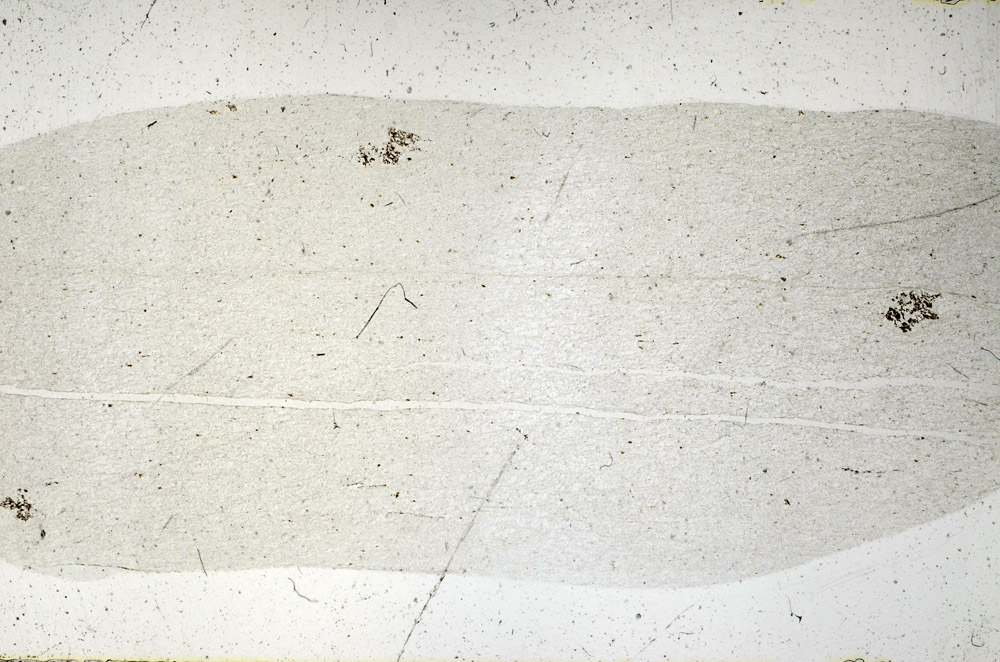Plane Polarized, S75032