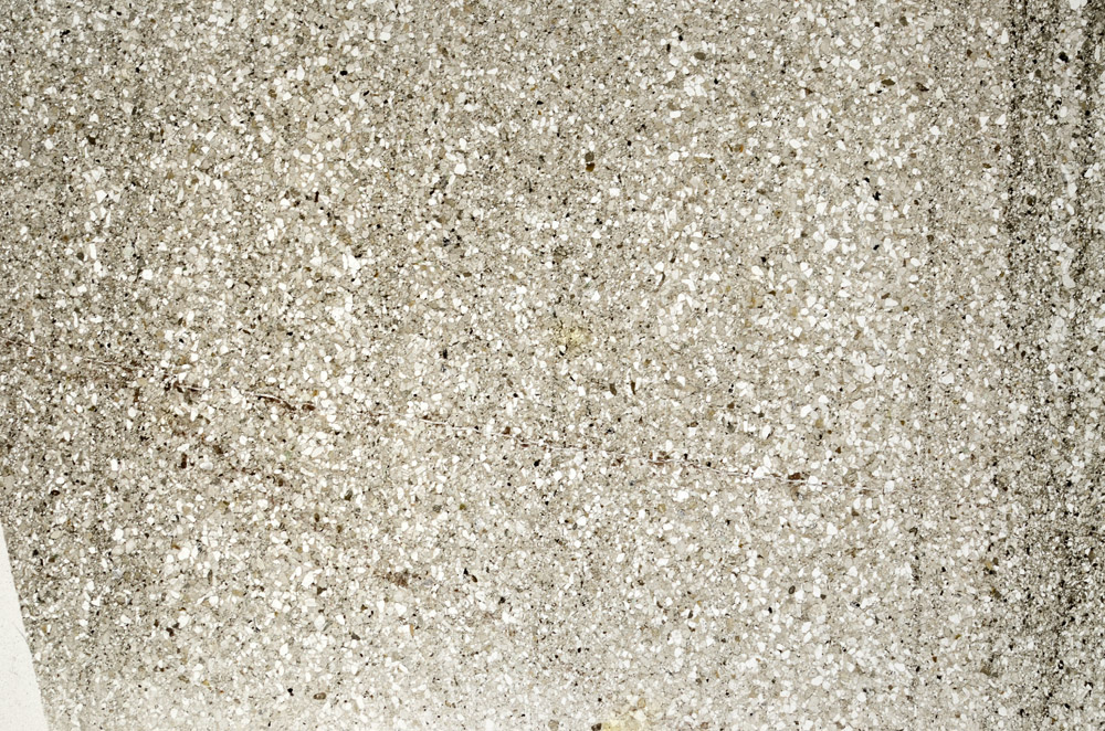 Plane Polarized, S75291