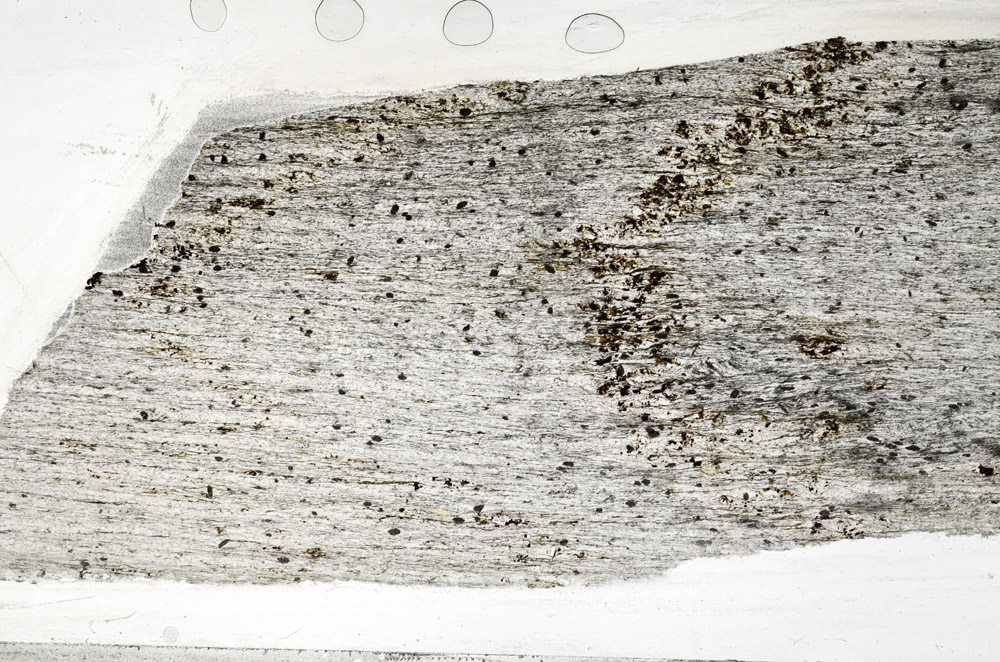 Plane Polarized, S75491